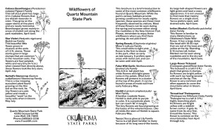 Preview of Native Wildflower Guide